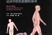 行走的天性 运动中的肌筋膜和身体 (英)詹姆斯·厄尔斯