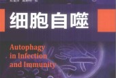 细胞自噬 (美)莱文