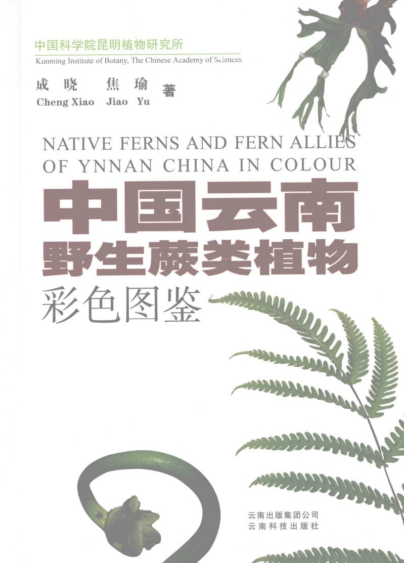 191030网 240916 174900.jpg 191030网 240916 174900.jpg