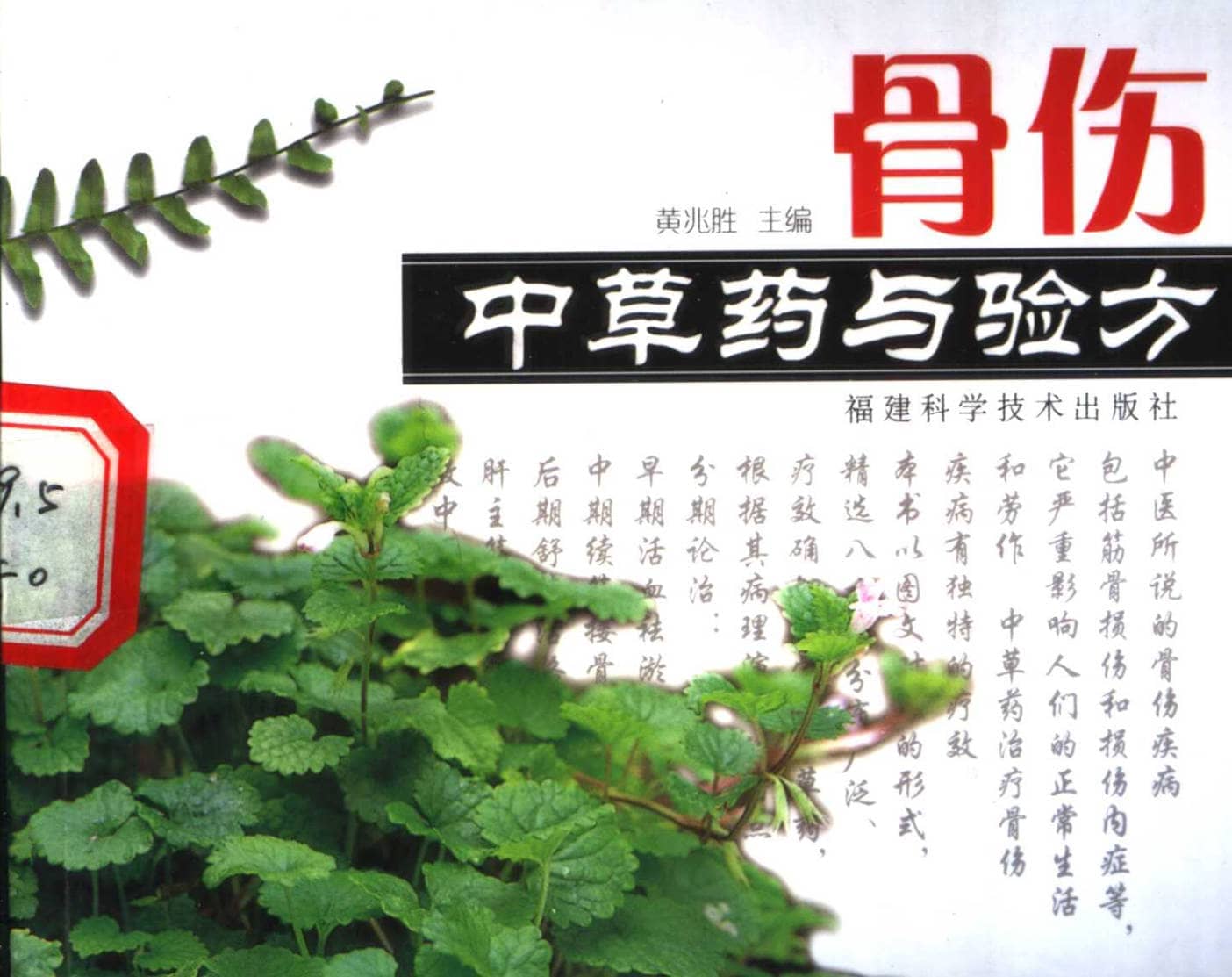 191030网 241005 222835.jpg 191030网 241005 222835.jpg