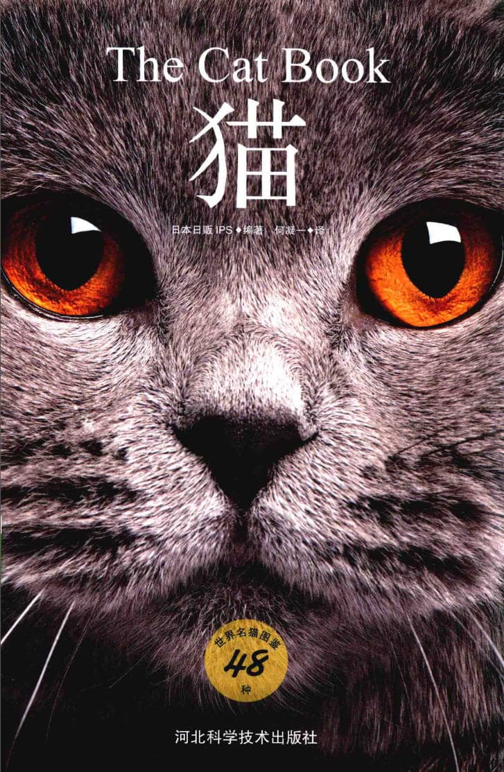 191030网 250208 222129.jpg 191030网 250208 222129.jpg